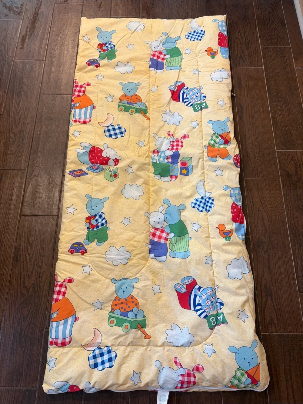 Vtg Coming Home Lands End Kids Sleeping Bag Blanket Comforter Bear Bunny 90s USA